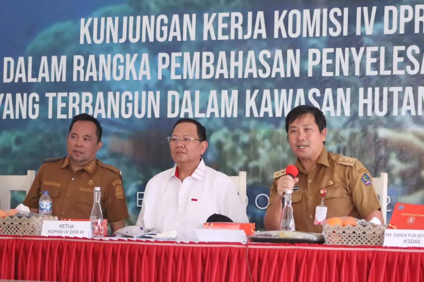 311465043_498336538973157_1139818671390447626_n