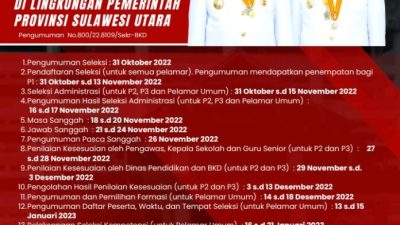 IMG_20221104_183727-696x985