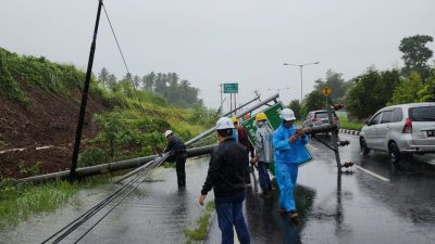 WhatsApp Image 2023-01-28 at 10.56.50