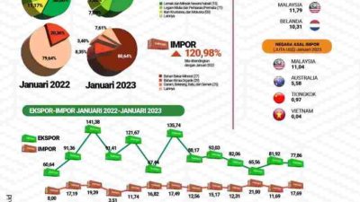 FB_IMG_1676515231065-768x958