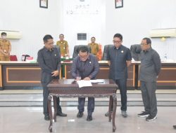 WhatsApp Image 2023-04-11 at 20.02.09