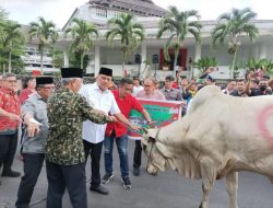 IMG-20230628-WA0018-768x574