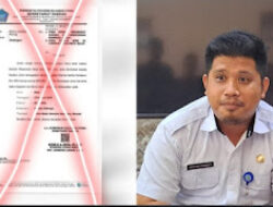 Screenshot_20240117_154213_InCollage-Collage-Maker-768x431