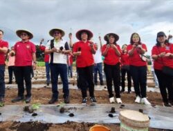 Gerakan-ASN-Menanam-Walikota-Maurits-Mantiri-Pastikan-Ketahanan-Pangan-Kota-Bitung