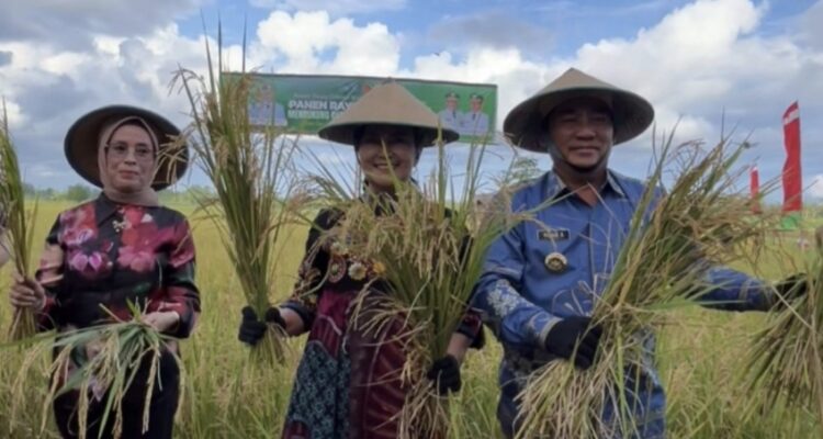 1724388224-screenshot_20250629_201552_facebook